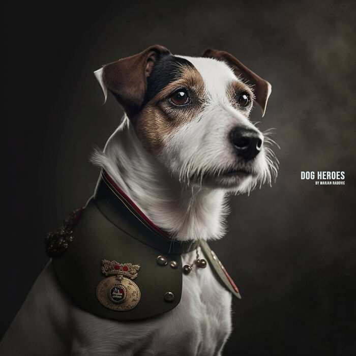Dog-heroes-photographer-creates-hyper-realistic-dogs-using-AI-43-Pics-63f4bf4283f6a__700
