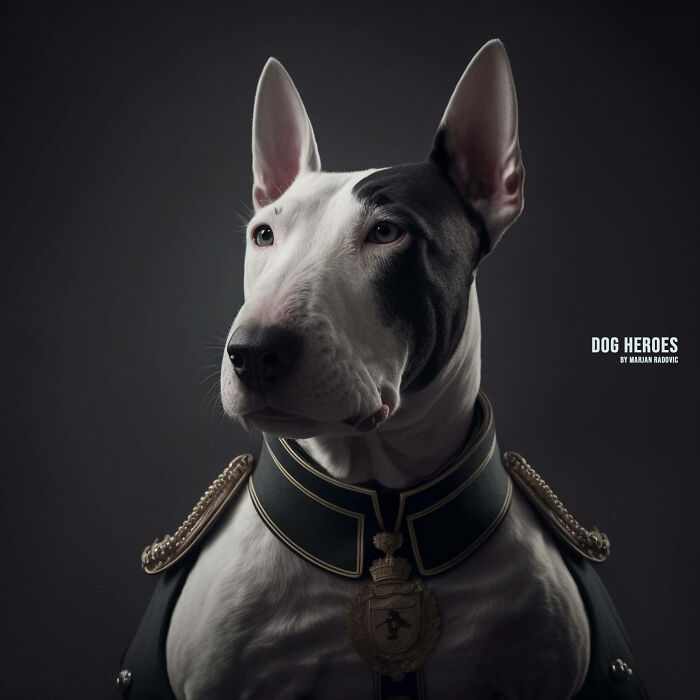 Dog-heroes-photographer-creates-hyper-realistic-dogs-using-AI-43-Pics-63f4bf670e910__700