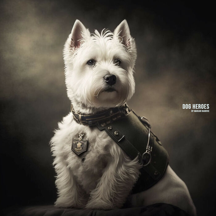 Dog-heroes-photographer-creates-hyper-realistic-dogs-using-AI-43-Pics-63f4bf7a8bede__700