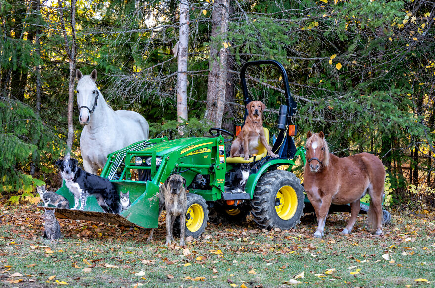 I-photograph-full-farm-portraits-and-I-sneak-my-dog-in-Updated-2021-2022-63dea7f7d09a7__880