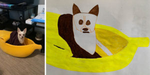 Animal Shelter Launches Poorly Drawn Pets Fundraiser to Support Animals in Need