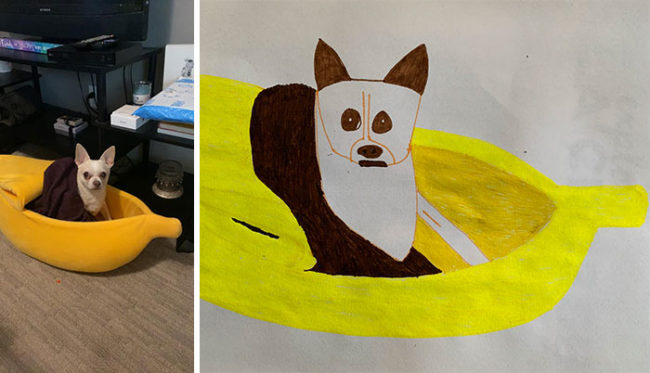 Shelter Raises Funds Through Bad Pet Drawings 63e66a6203ee2 700