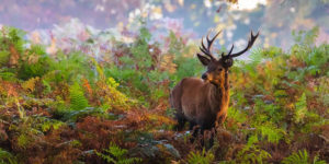 Spectacular Winning Images of The National Geographic Traveller Photography Awards 2023