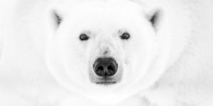 Spectacular Winning Images Of The 2022 Travel Photographer Of The Year Awards