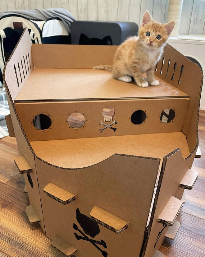cat-forts12