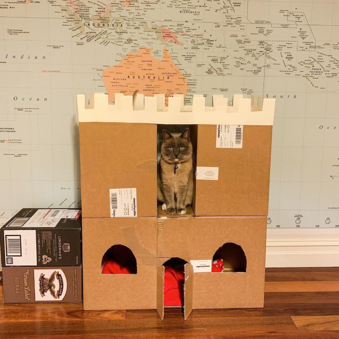 cat-forts19