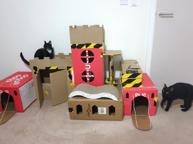cat-forts20