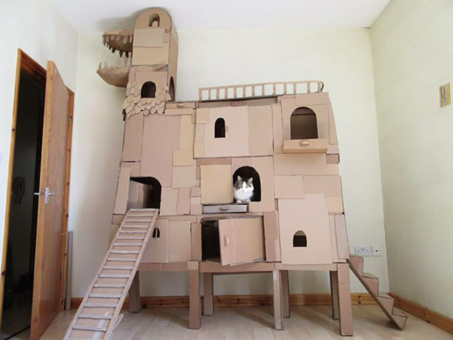 cat-forts3