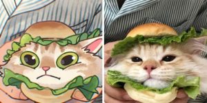 JoJo's Hilarious Cat Illustrations: A Feast for the Eyes and Funny Bone