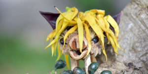This Artist Crafts Tiny Forest Creatures from Natural Elements