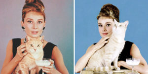 Rare Behind-The-Scenes Photos of Audrey Hepburn With Orangey the Cat in 'Breakfast at Tiffany's' in 1961