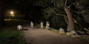 Spectacular Winning Images of The Sony World Photography Awards 2023