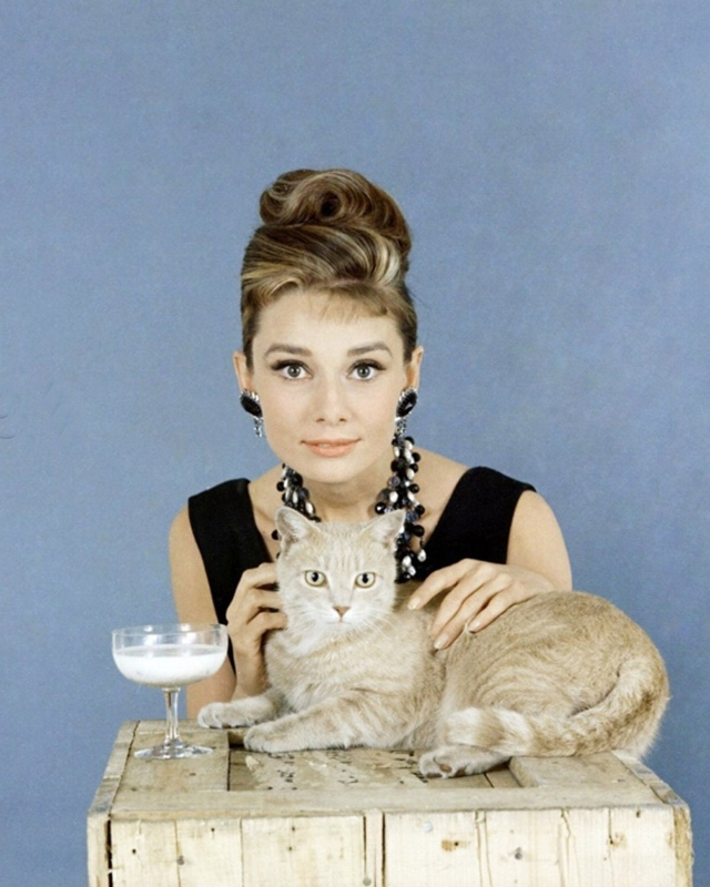 audrey-hepburn-orangey-1