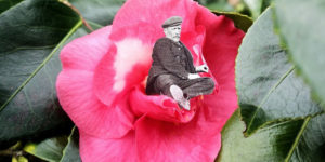 Discovering the Beauty of Wild Collaging with Artist Francesca Lawrence