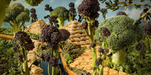 Capturing Culinary Delights Across the Globe at the 2023 Pink Lady Food Photography Awards