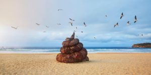 Plastic Poop Alert: Bondi Beach Brings a Whole New Meaning to 'Beach Bum'