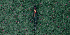 Spectacular Winning Images of The Drone Photo Awards 2023