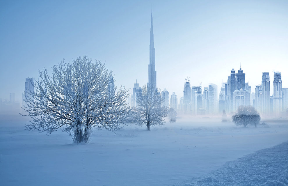 Winter,Landscape,Of,Frosty,Trees,On,Foggy,Background
