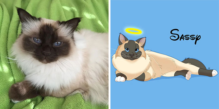 Artist-turns-pictures-of-pets-into-cute-Disney-characters-63440bfed61ce__700