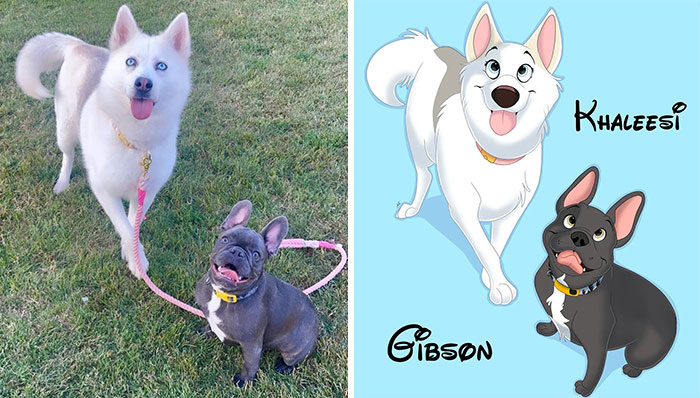 Artist-turns-pictures-of-pets-into-cute-Disney-characters-63440c142fa69__700