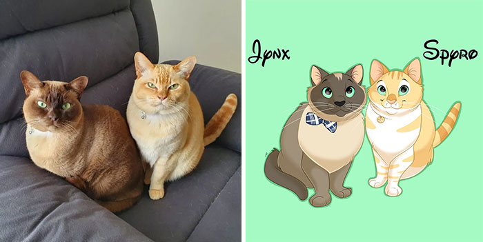 Artist-turns-pictures-of-pets-into-cute-Disney-characters-63440c31f0b02__700
