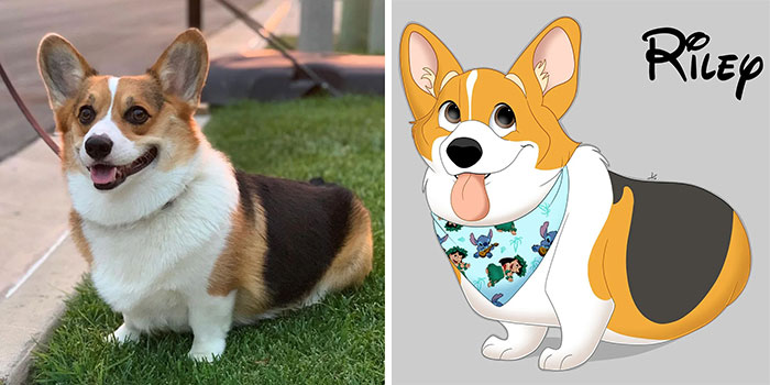 Artist-turns-pictures-of-pets-into-cute-Disney-characters-63440c3ceea0b__700