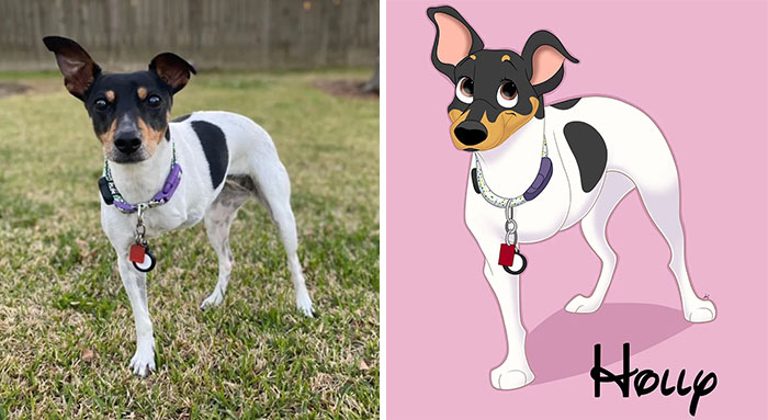 Artist-turns-pictures-of-pets-into-cute-Disney-characters-63440c3e4d7d5__700