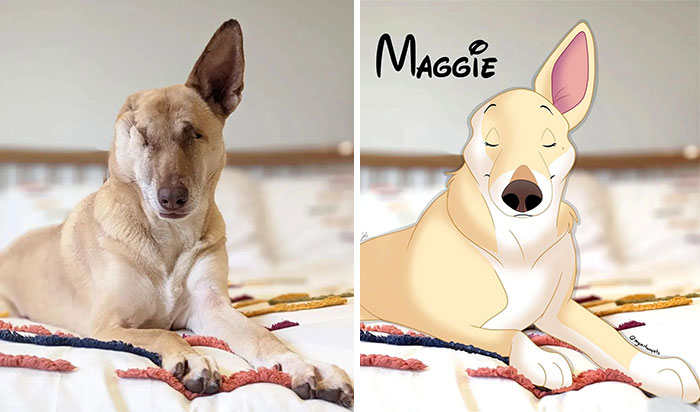 Artist-turns-pictures-of-pets-into-cute-Disney-characters-63440c43b5549__700