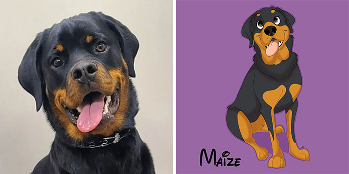 Artist-turns-pictures-of-pets-into-cute-Disney-characters-63440c4ad81f4__700
