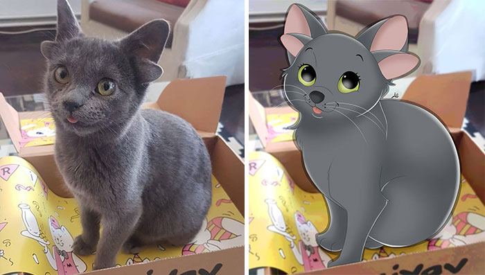 Artist-turns-pictures-of-pets-into-cute-Disney-characters-63440c51b3da3__700