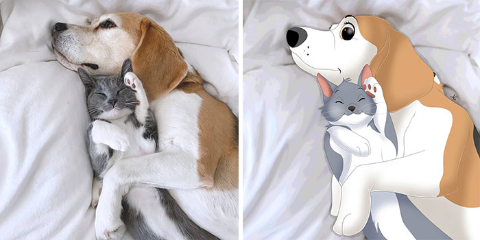 Artist-turns-pictures-of-pets-into-cute-Disney-characters-63440c558a09d__700