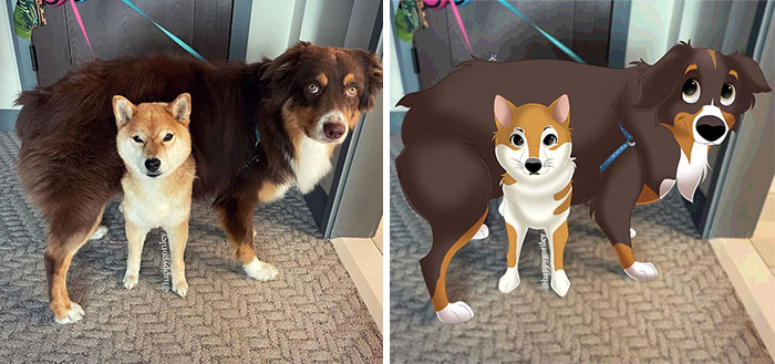 Artist-turns-pictures-of-pets-into-cute-Disney-characters-63440c5758ead__700