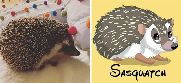 Artist-turns-pictures-of-pets-into-cute-Disney-characters-63440c5e487e9__700