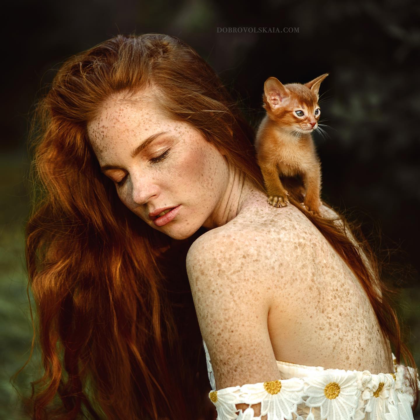 Photographer Illustrates the Remarkable Connection Shared Between ...