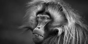 Spectacular Winning Images Of Black And White Photo Awards 2023