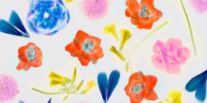 Beautiful, Colorful and Geometric Minimalistic Photography by Anastasia