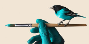 Ordinary Wonders in Turquoise: Benedetto Demaio's Aesthetic Photography