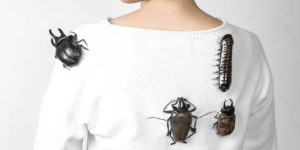 Wearable Insects by Samantha Dennis