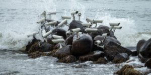 Navigating a World of Ubiquitous Surveillance Through Jakub Geltner's 'Nest' Installations