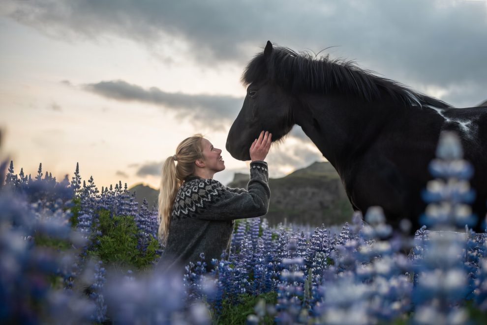 36-stunning-photographs-of-horses-in-Iceland-that-look-like-straight-out-of-a-fairytale-63202ab88c062__880-