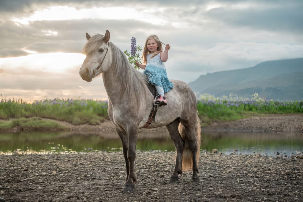 36-stunning-photographs-of-horses-in-Iceland-that-look-like-straight-out-of-a-fairytale-63202ac1cf8df__880-