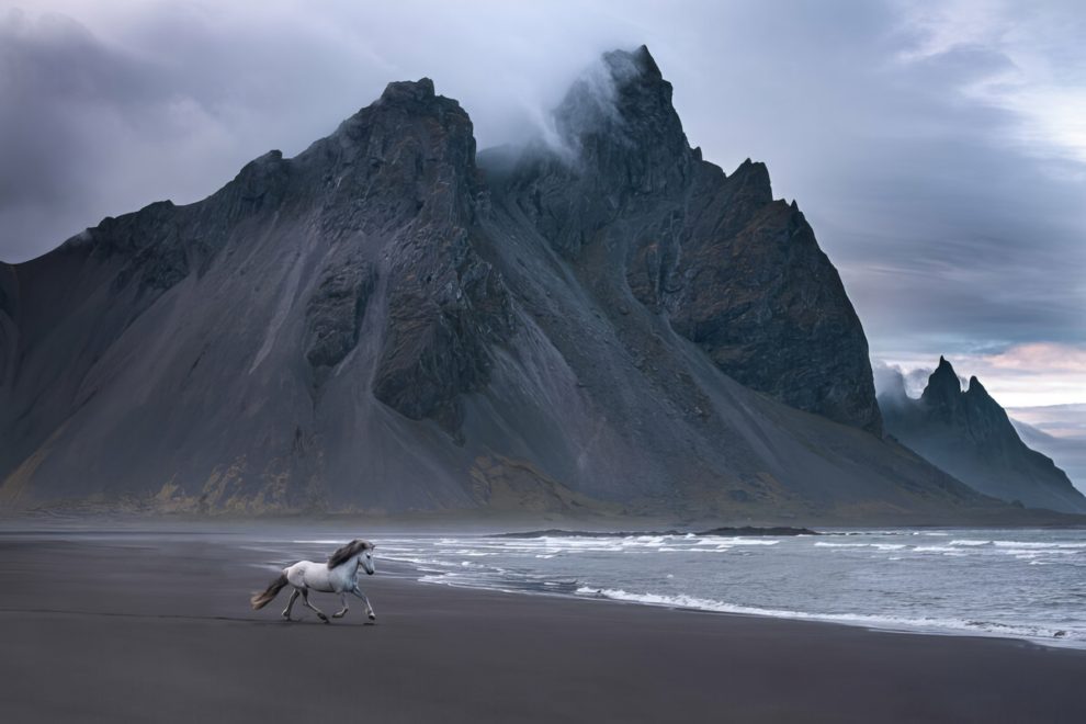 36-stunning-photographs-of-horses-in-Iceland-that-look-like-straight-out-of-a-fairytale-63202ad0ac6de__880-