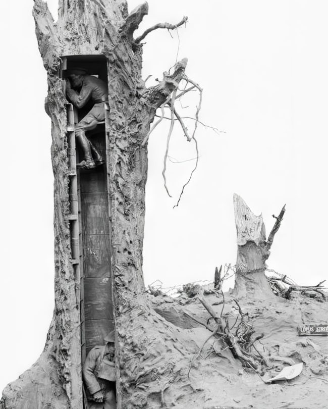 The Remarkable Camouflage Trees of World War I » Design You Trust ...