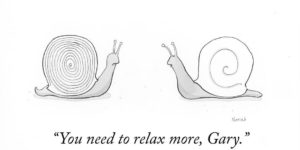 The Super Funny Single-Panel Comics by Navied Mahdavian