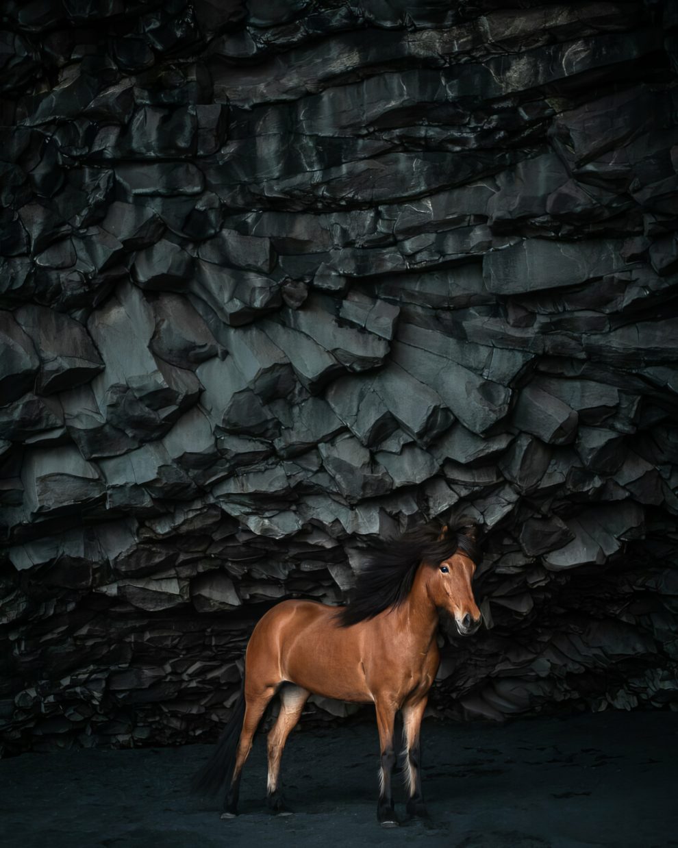 petra-marita-leifsdottir-boredpanda-iceland-icelandic-horse-004-631f3689eee8b-jpeg__880-