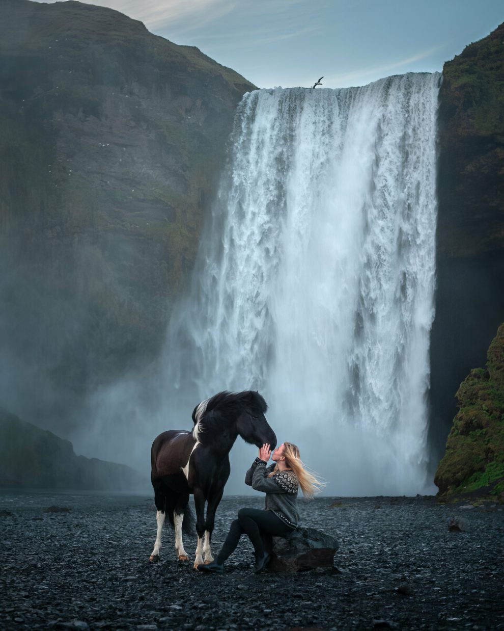 petra-marita-leifsdottir-boredpanda-iceland-icelandic-horse-017-631f36cf73d96-jpeg__880-