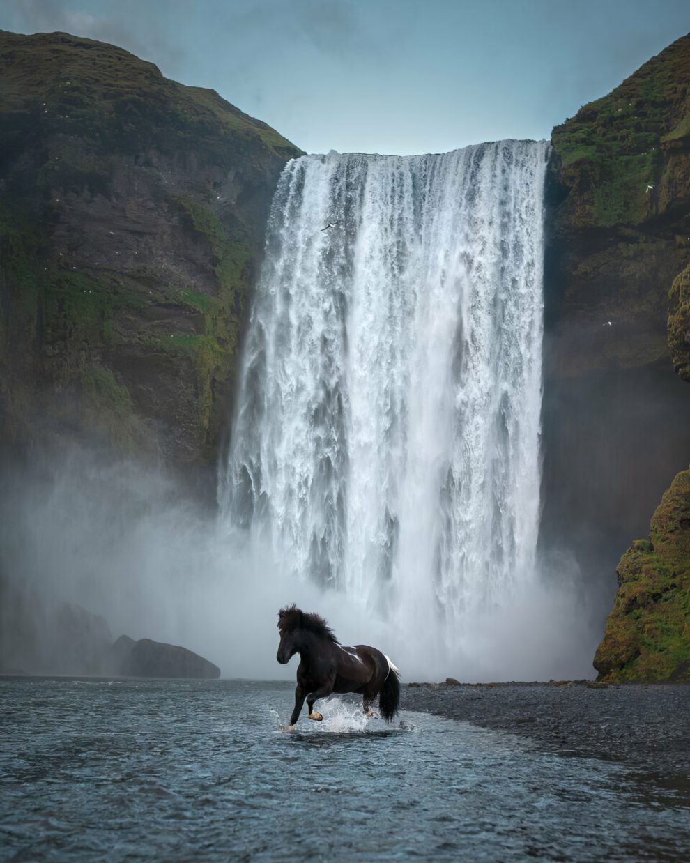 petra-marita-leifsdottir-boredpanda-iceland-icelandic-horse-022-631f36deafa26-jpeg__880-