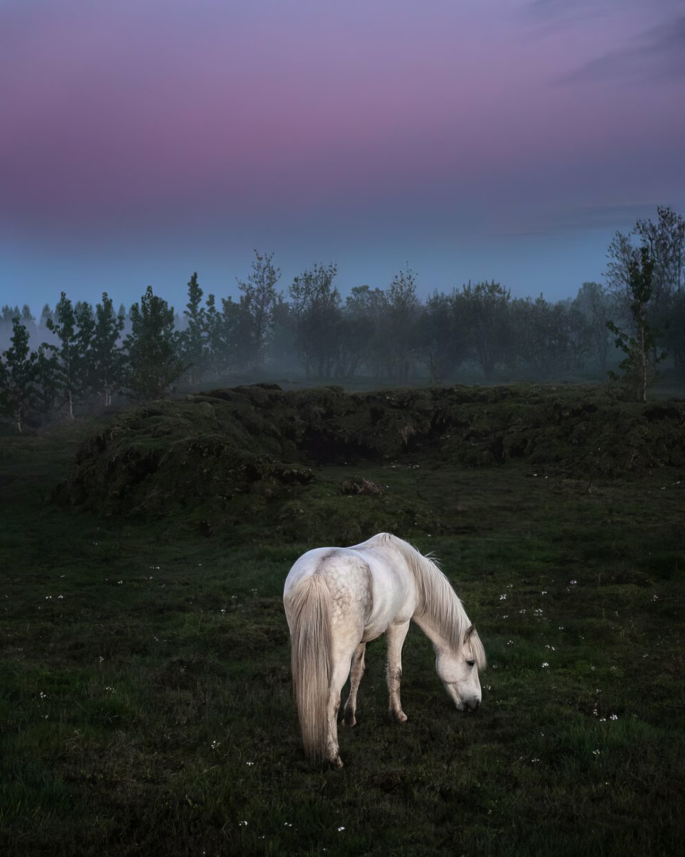 petra-marita-leifsdottir-boredpanda-iceland-icelandic-horse-025-631f36e8888fe-jpeg__880-