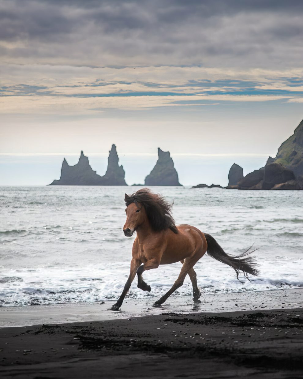 petra-marita-leifsdottir-boredpanda-iceland-icelandic-horse-028-631f36f6cd31e-jpeg__880-