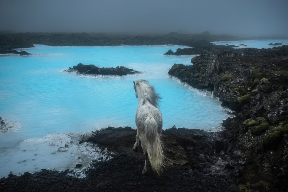 petra-marita-leifsdottir-boredpanda-iceland-icelandic-horse-035-631f370dc8f85-jpeg__880-